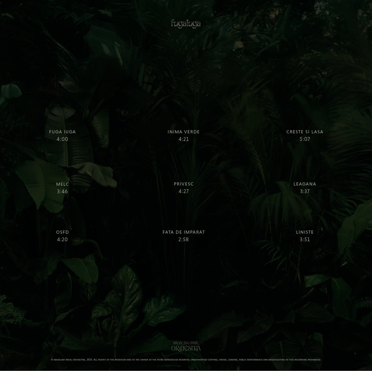 Madalina Paval Orchestra - Fuga Iuga 12" Vinyl