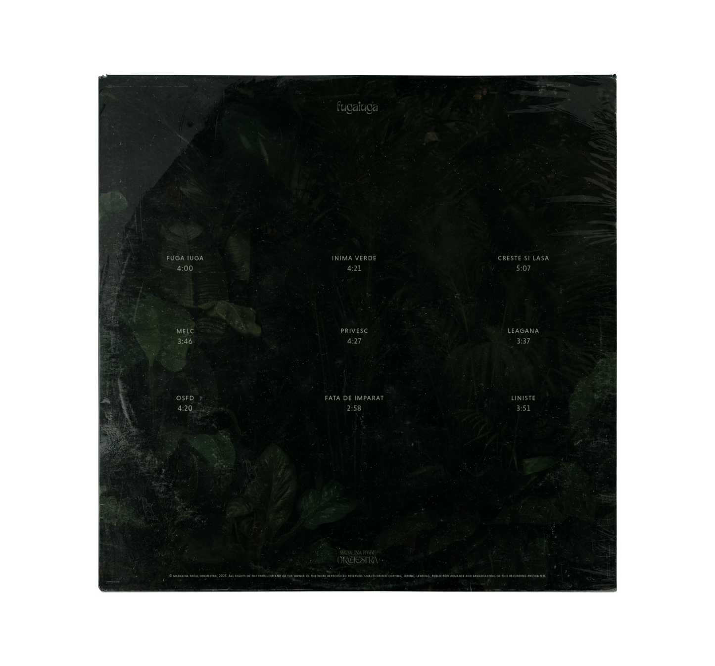 Madalina Paval Orchestra - Fuga Iuga 12" Vinyl